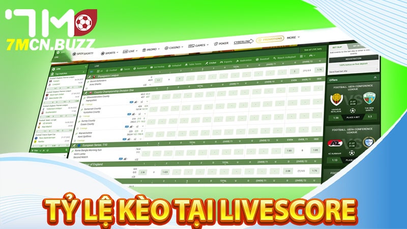 Một số tỷ lệ kèo cá cược mà livescore cung cấp 