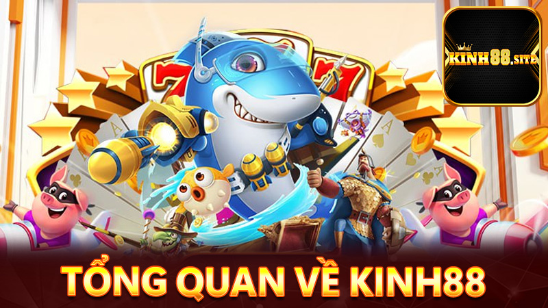 Tổng quan về nhà cái Kinh88